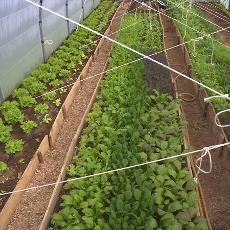شقة Casa L&M Lajes das Flores المظهر الخارجي الصورة