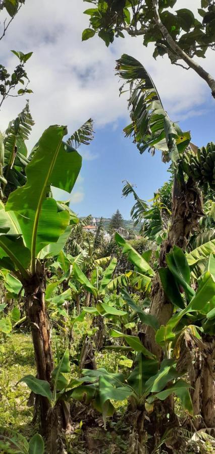 شقة Casa L&M Lajes das Flores المظهر الخارجي الصورة