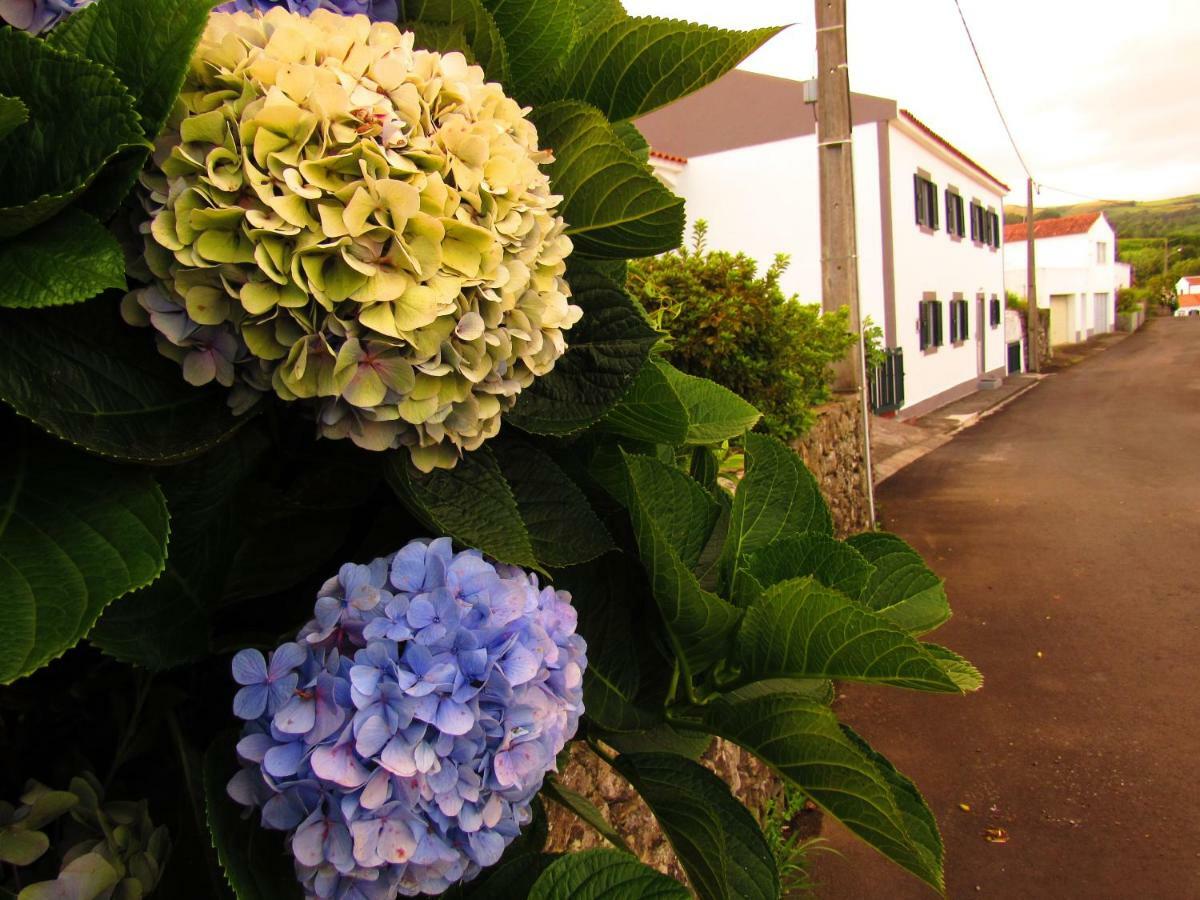 شقة Casa L&M Lajes das Flores المظهر الخارجي الصورة